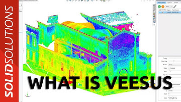 What is Veesus?