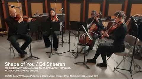 iconiQ Strings - Shape of You by Ed Sheeran (String Quartet)
