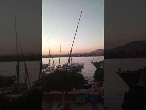 🌿 Mısır'ın Bolluk