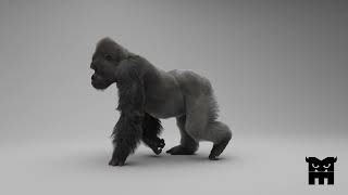 Gorilla walkCycle