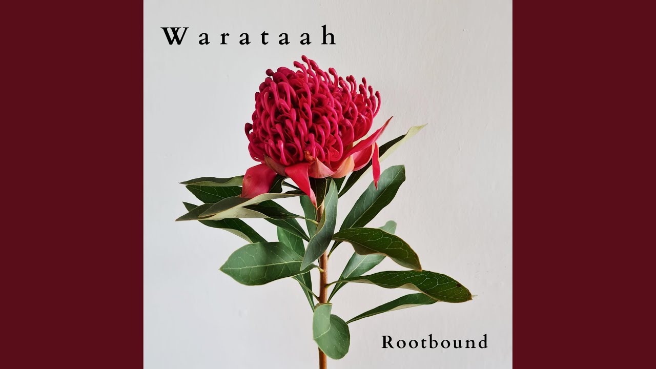 Watch Rootbound on YouTube Watch Rootbound on YouTube