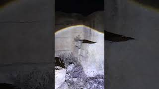 Ağlayan Cin Vakası Olayı Paranormal Olaylar