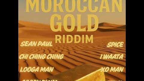 Sean Paul - Up Ina Di Air (Official Audio)