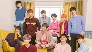 [indo sub] • Wanna One (워너원) — I PROMISE YOU (약속해요) (Propose 고백 Ver.) Lyrics • [Han|Rom|INA]