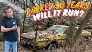 74 AMC Javelin, Cut Out Of Tree's After 30+ Years...Will It Run AND Drive???