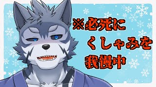 【雑談】くしゃみが止まらねえですだ【Vtuber/雹衛ハガル】