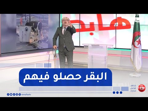 طالع هابط حدث ولا حرج بعد قرار بمنع تجولها في ذراع الريش الأبقار عاودت ولات بقوة