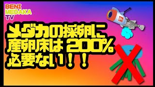 【琶丹メダカTV】「メダカの採卵に産卵床は200%いらない！！！！！」コスト削減の画期的な方法！静岡のメダカ屋は琶丹メダカへ！