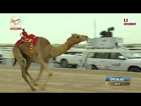 ش 6 سيف الحول المفتوح شرح ل حمد راشد بن غدير الكتبي 12 03 97 ختامي الشحانية 2023 3 15