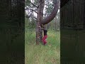 Рубецкое лес грибы 1