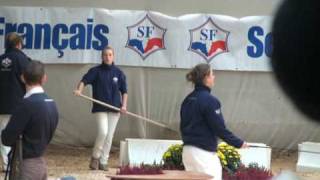 Suliman De Fetan- Jumping Stallion Sf By Dollar De La Pierre
