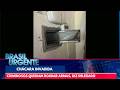 Delegado diz que ladrões que invadiram chácara em SP queriam roubar armas | Brasil Urgente
