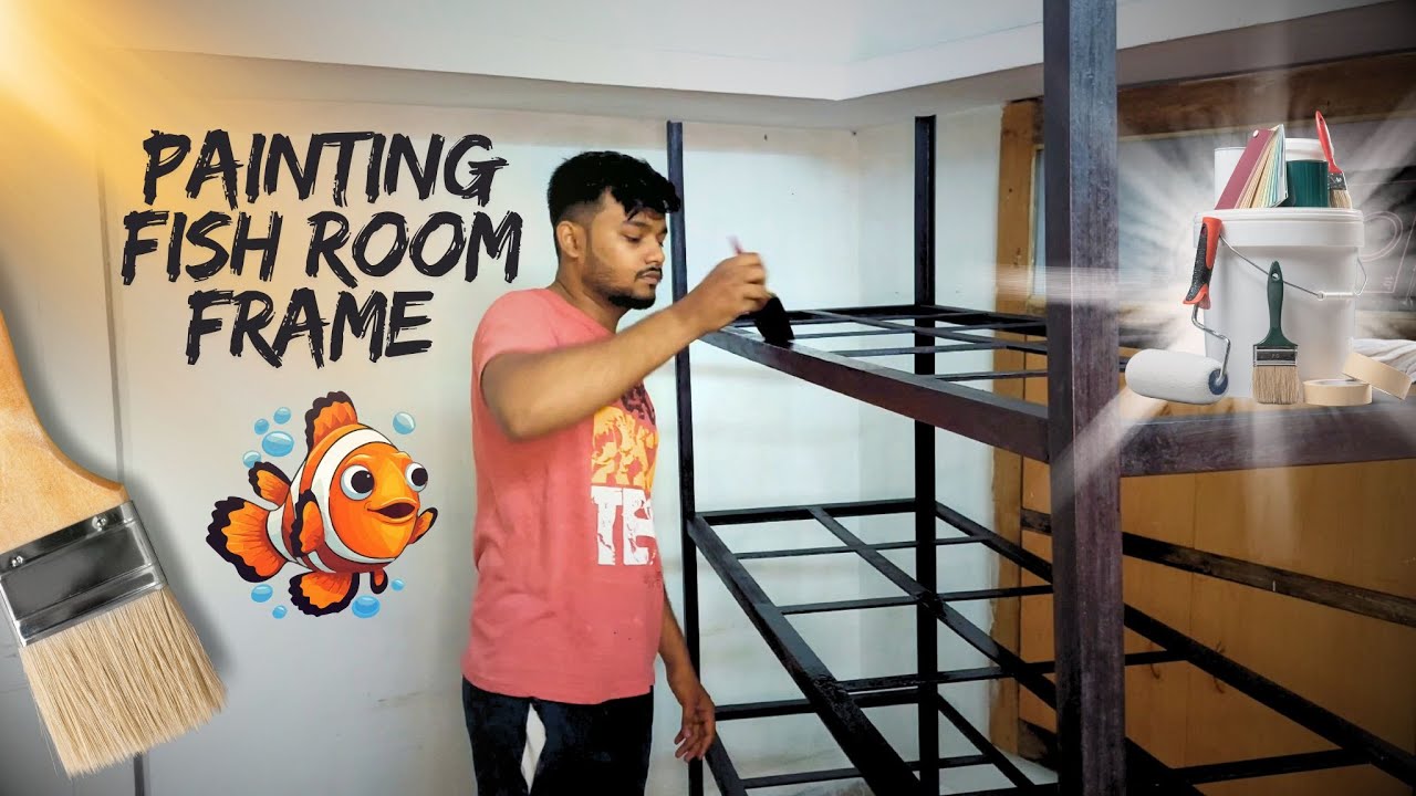 Painting my Fish Room Frame | Fish room making - YouTube
