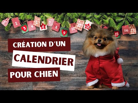 Tuto calendrier animaux