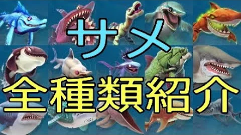 تحميل ハングリー シャーク 最強