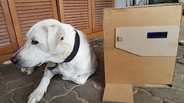 Arduino Pet food dispenser