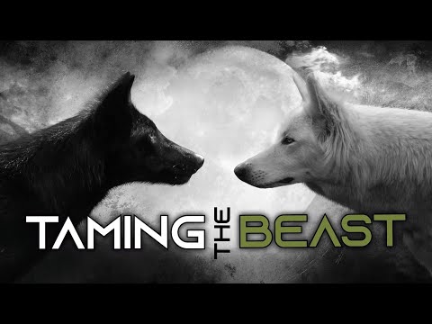 Taming The Beast | Taboo | Ps Brent Smith