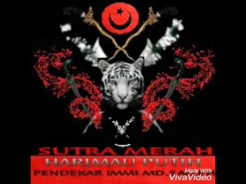 Pencak Silat Sutra Merah Harimau Putih Youtube