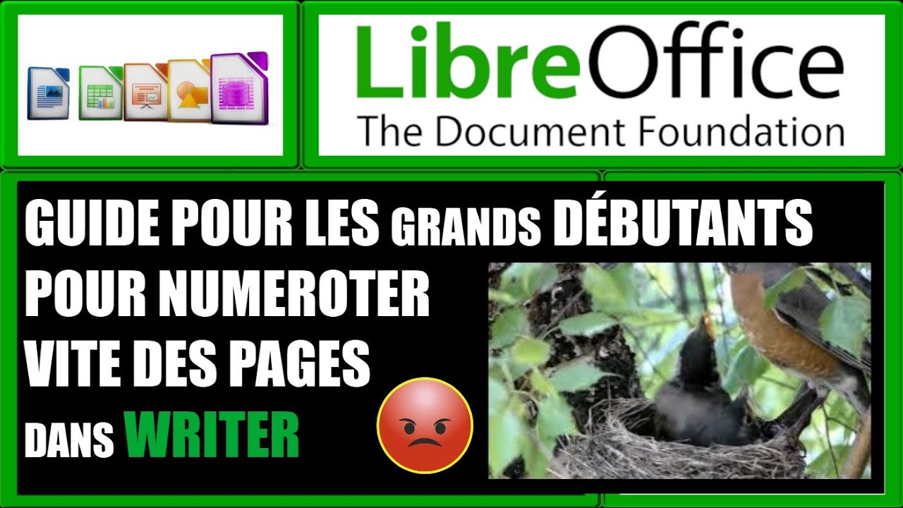 insertion des numéros de pages pour de grands débutants LibreOffice 7.6