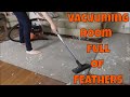 Henry and Hetty Hoovers VACUUMING ROOM FULL OF FEATHERS ~ Relaxation Vacuuming Video Better Sleep