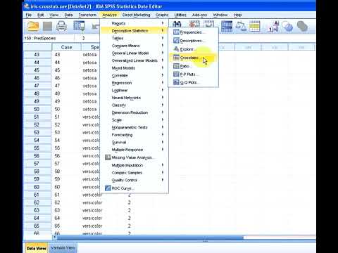 SPSS : Cross Tabulation