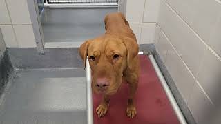 acs A674883