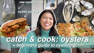 oysters catch &amp; cook vlog + how to go oystering for beginners!