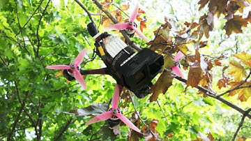 My FPV Drone Got Stuck IN A Tree!