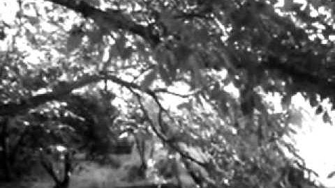 CryogenY - Easy To Explain