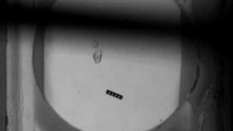 Protein crystal harvesting using the RodBot