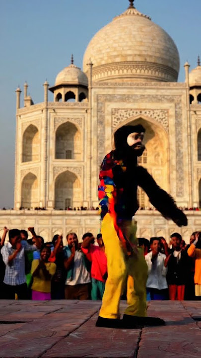 ulala ulala 😂 #viral shot Bandar video #viral Bandar 🐒#video viral
