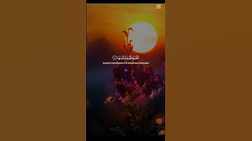 الشيخ ياسر الدوسري سورة الشمس #اكسبلور #المصحف #القران #القزابري #راحة_نفسية #الرحمن