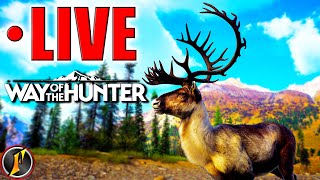 A Way of the Hunter Stream?!? | Managing Our Herds in Search of 5 Stars! | LIVE