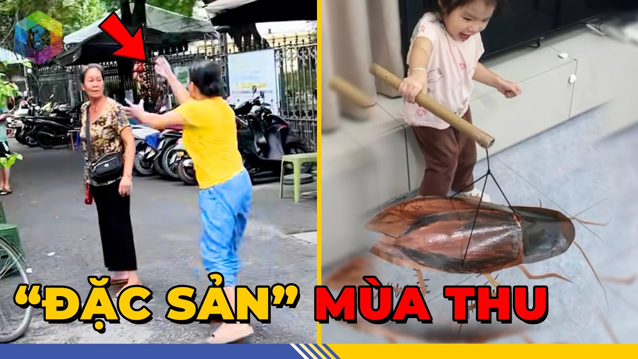 1001 Khoảnh Khắc Độc Lạ Mùa Thu Chỉ Có Ở Việt Nam: Niềm Vui Hay Kiếp Nạn - Top 1 Khám Phá