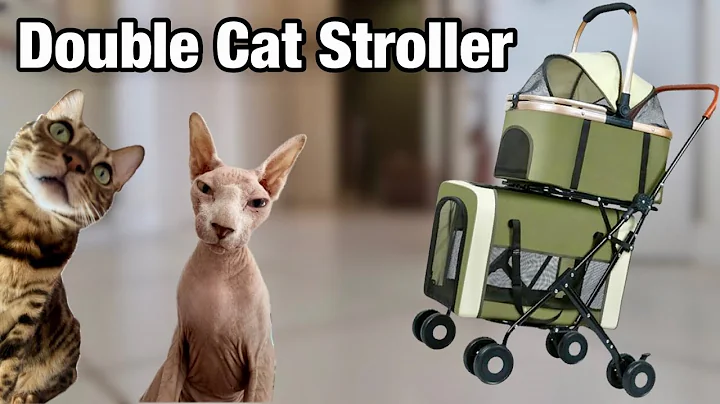 Video 11318791: chicken sphynx cat, bengal