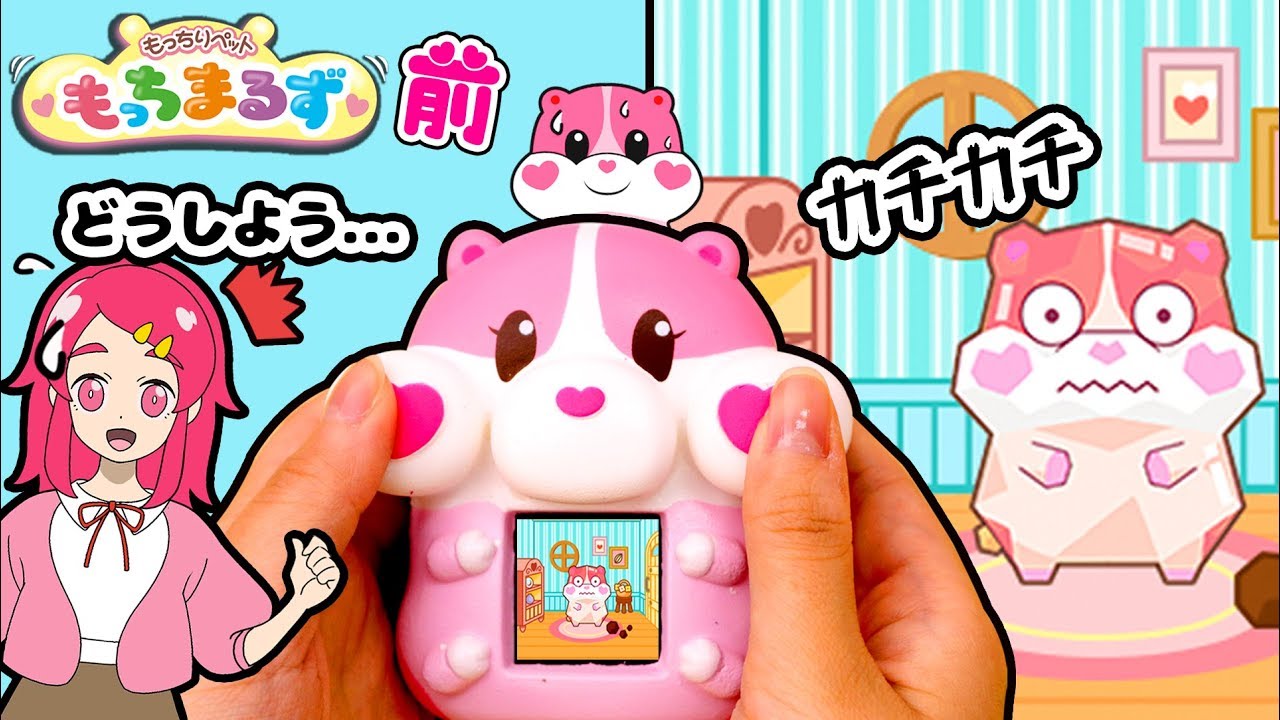もっ ち まる ず