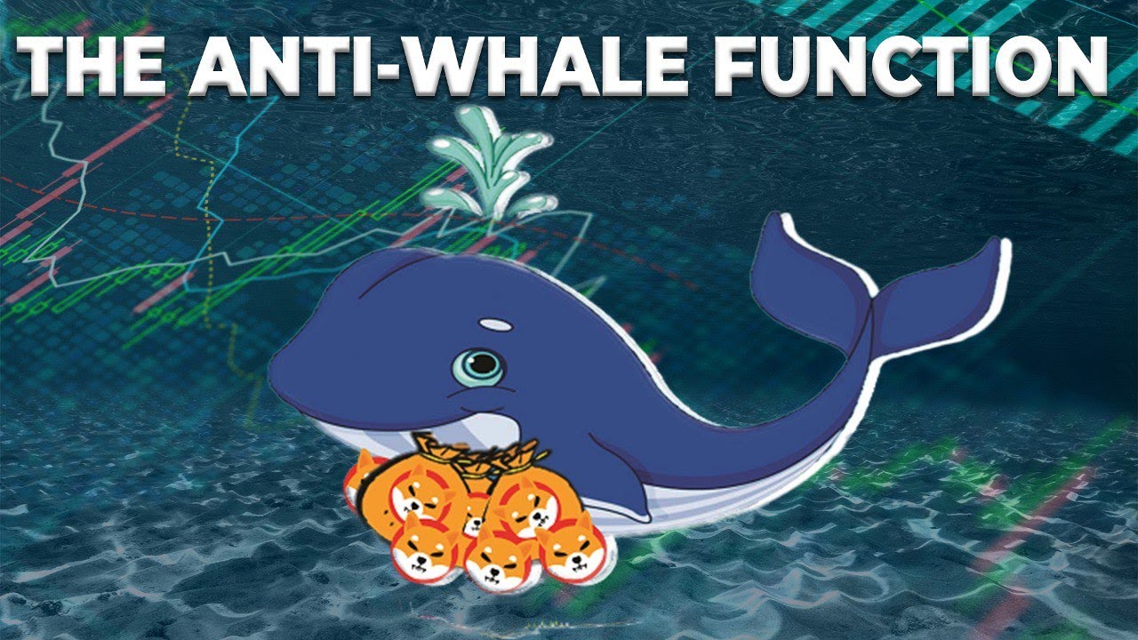 What is the Anti-Whale Function? Smart Contact, Explained