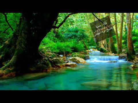 صلاة التراويح 05 مسجد التوبة حيدرة القارئ الأخ إبراهيم رمضان 2019 1440