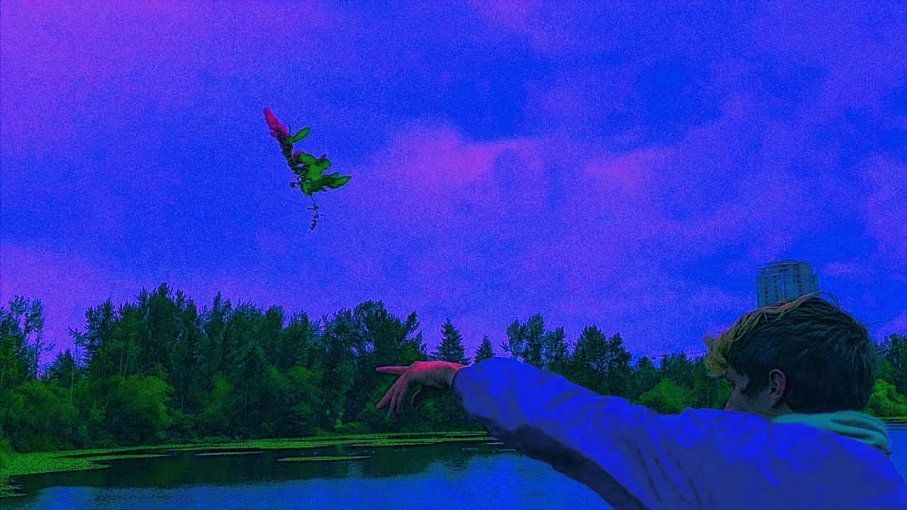 powfu - she want (spedup)