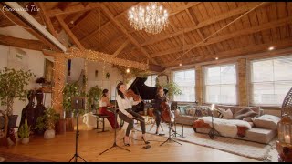 Smetana Piano Trio in G minor, op.15 - I. Moderato assai