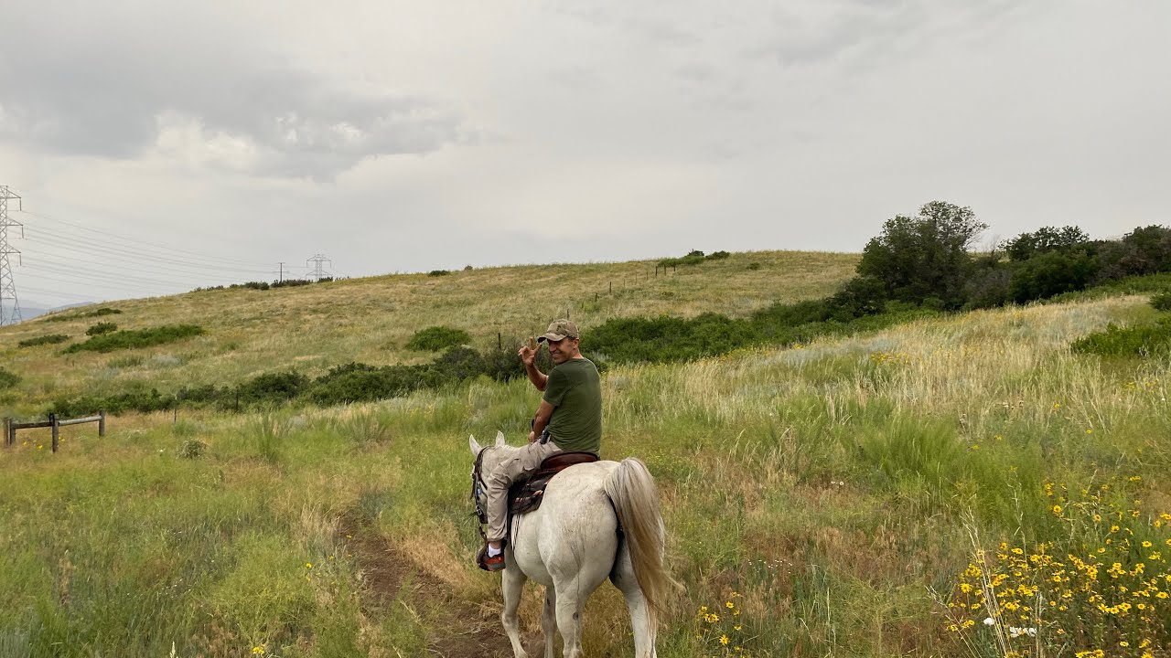 Horseback Riding Colorado Summer Activity Highlands Ranch