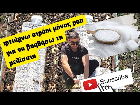 Βίντεο: Μπορώ να ταΐσω το axolotl tubifex μου;