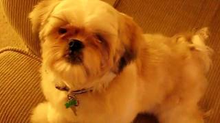 Her nickname is EGBG'zz . She loves that sound especially when Im a...