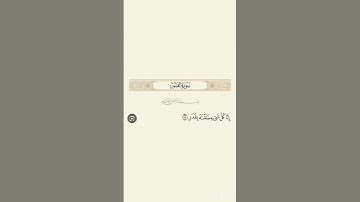 سورة القلم