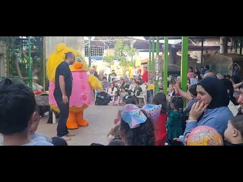 #cute هالصيصان في عمان الاردن | كتاكيت لاند