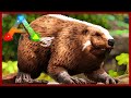 Amazing Mastercraft Crossbow! Ankylo &amp; Beaver Taming! The Island Map! Ark Survival Evolved Ep 7!