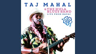 Miniatura de "Taj Mahal - Good Morning Miss Brown (Live)"