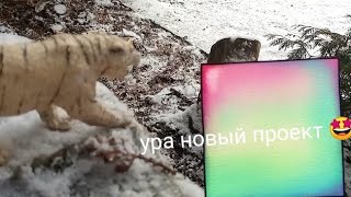 1 серия моего проекта приключения тигра бро и льва бро ❤️🐯🦁