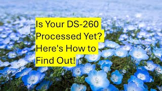 How to Check If Your DS-260 Has Been Processed by KCC #usa #ds260 #dvlottery #greencardlottery