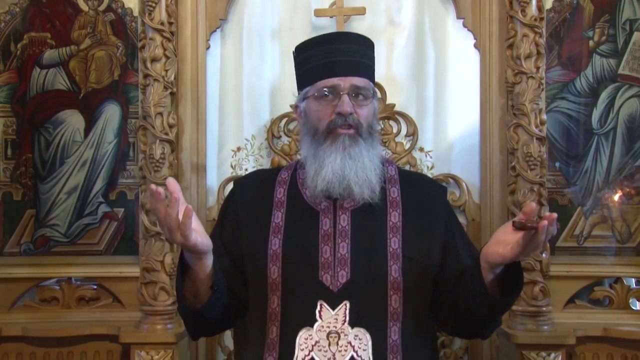 Cele 3 întrebări fundamentale în lume! - 10 iulie - Părintele Calistrat